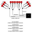 Triangle Wire Harness splitter & Extention Kit diagram Ford raptors