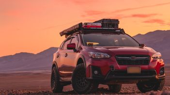 Extreme Sale 15% Off Sitewide