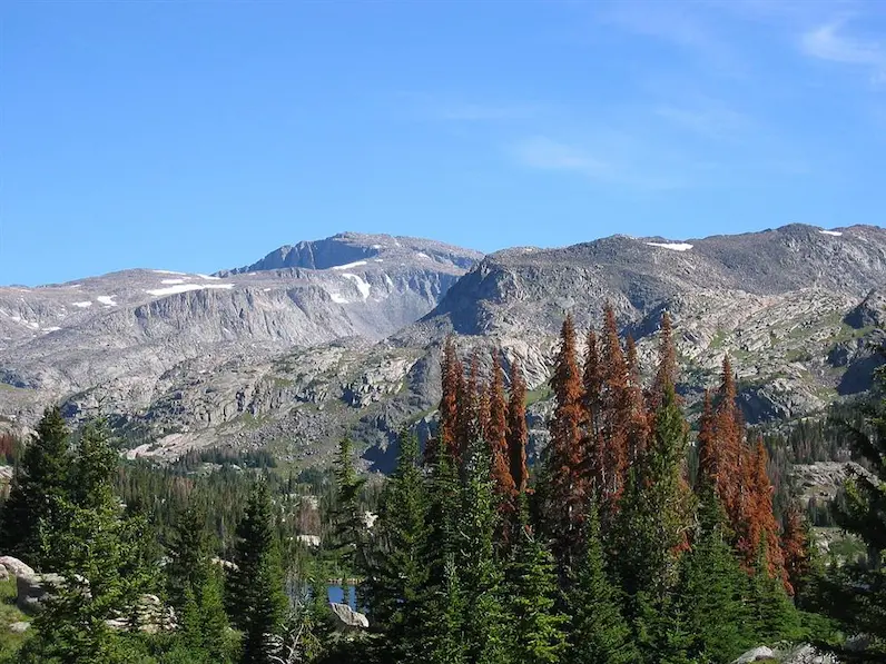 big horn mountains winter trails
